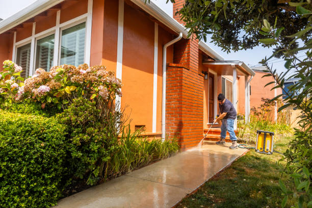 Best Exterior Home Cleaning  in Lake Placid, NY